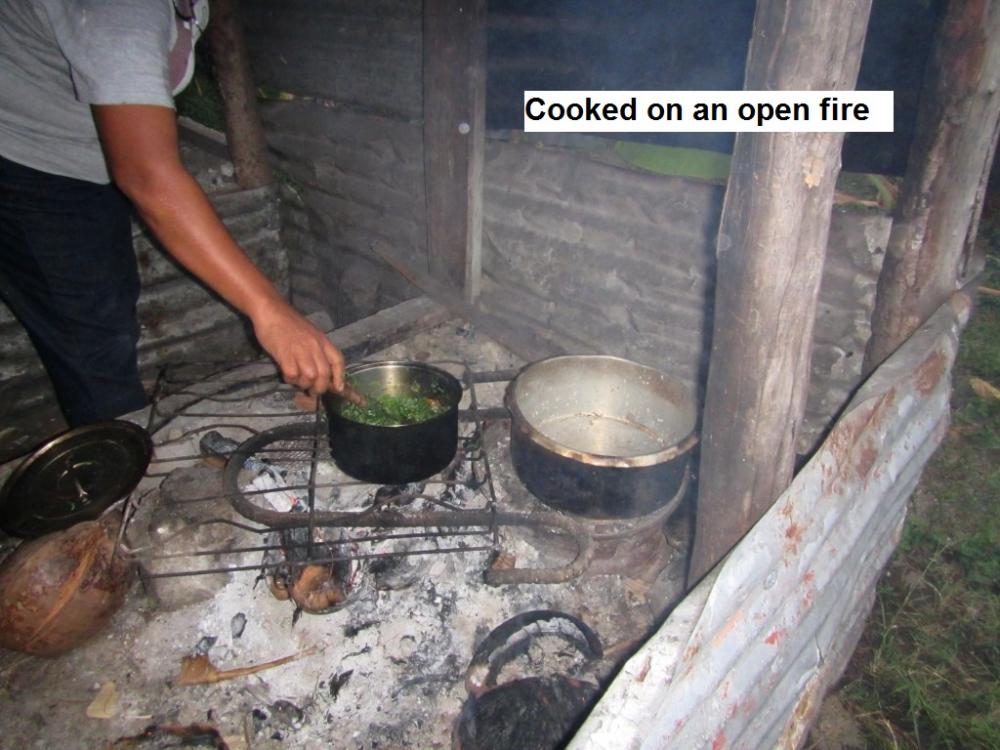 They have to cook all meals on an open fire, as they have no electricity.